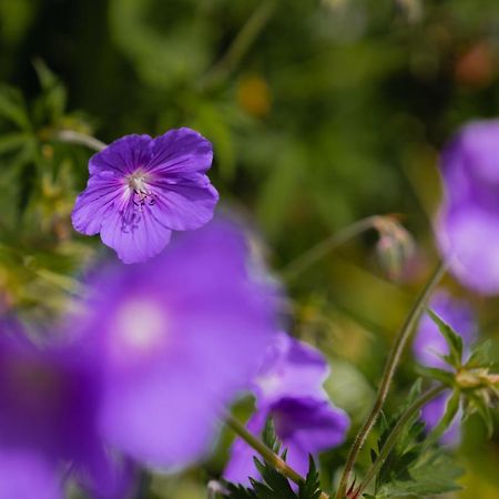 דירות Oberlech750. Refugium Am Berg. מראה חיצוני תמונה